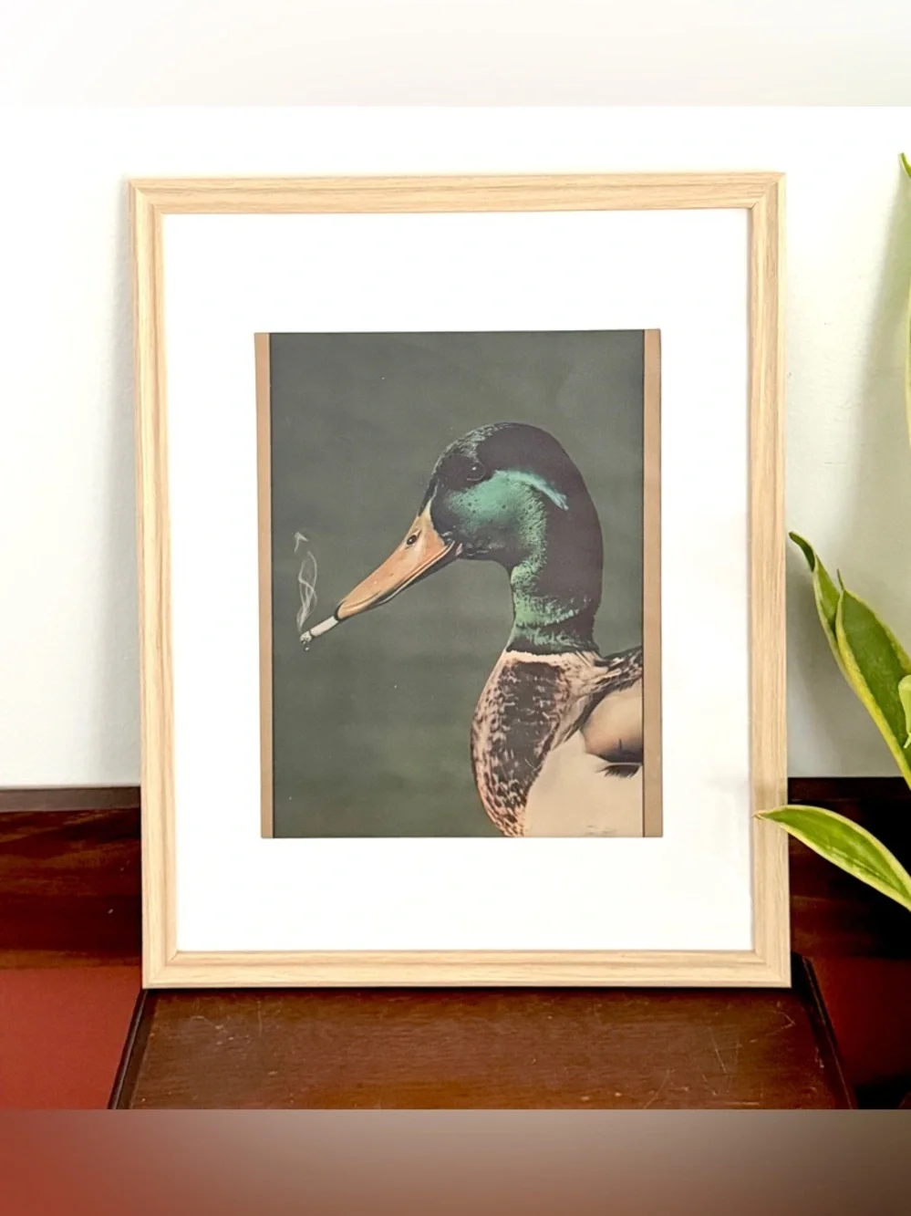 Mallard Duck Smoking a Cigarette Vintage Style Canvas Art Print Faux Wood Frame